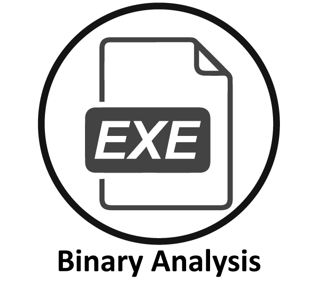 v4report icons with names_Binary Analysis
